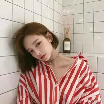 动物园之夜